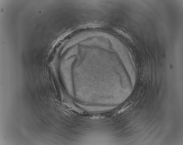 X0000067461160200605051614