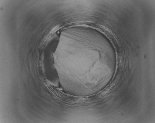 X0000067461161200605051614