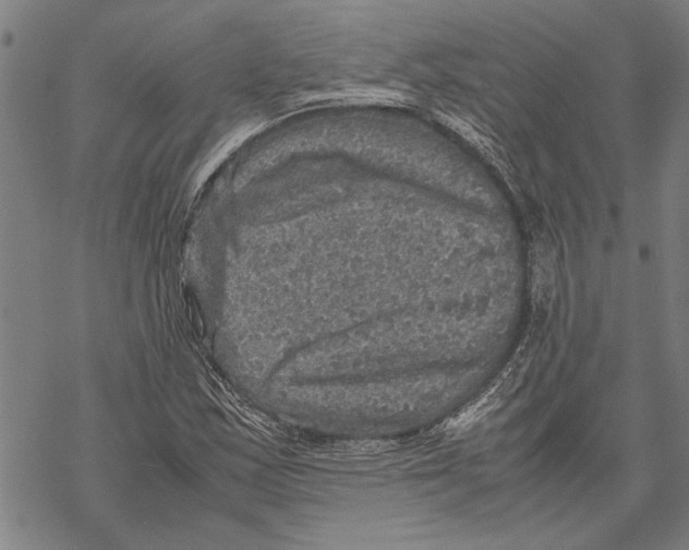 X0000067461163200605051614