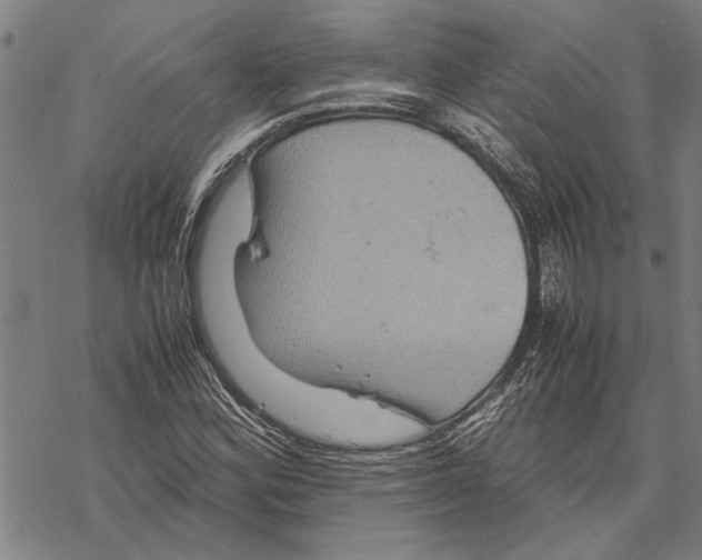 X0000067461164200605051614