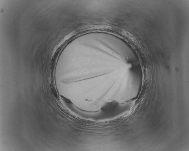 X0000067461165200605051614