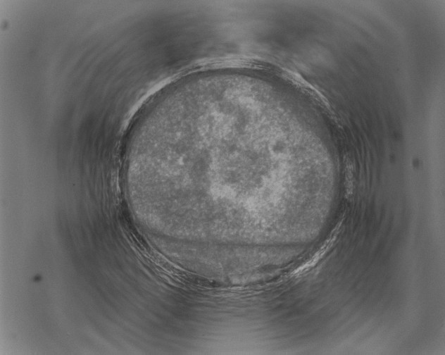 X0000067461166200605051614