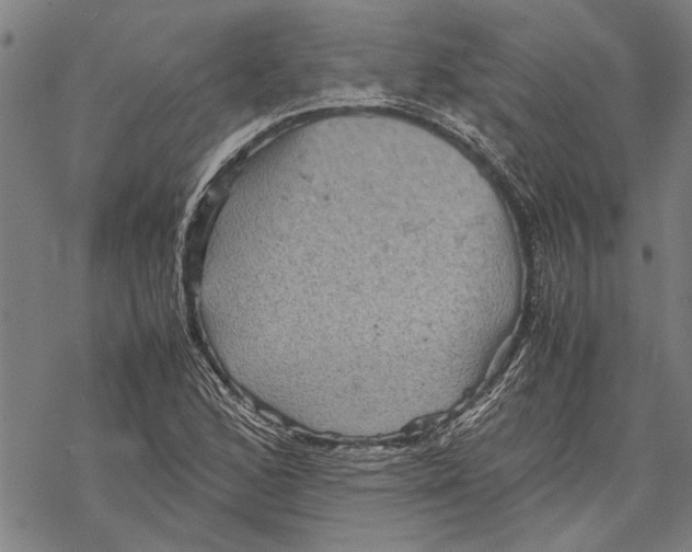 X0000067461168200605051614