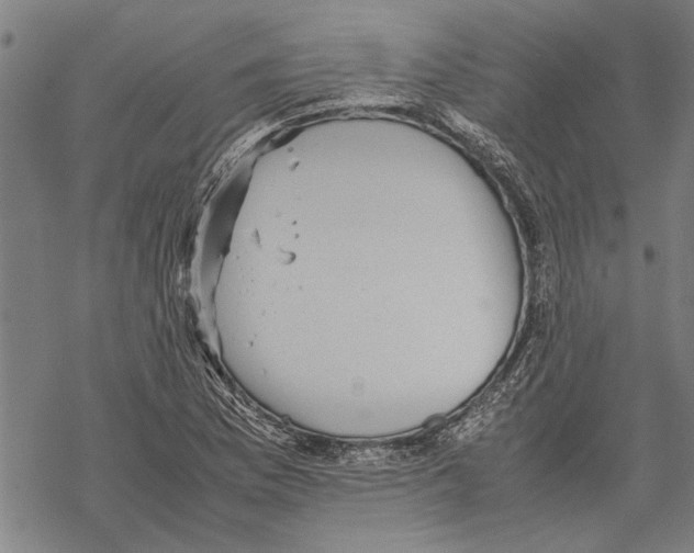 X0000067461169200605051614