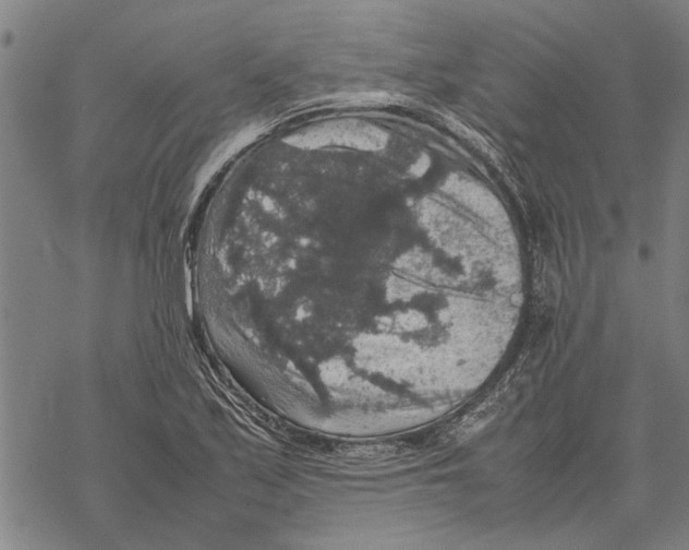 X0000067461171200605051614