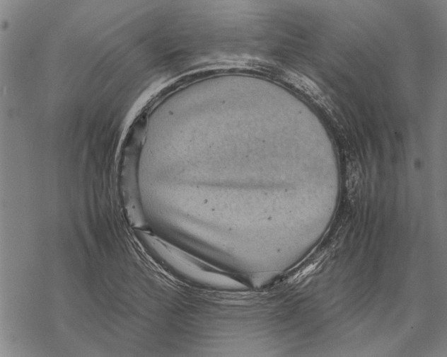 X0000067461172200605051614