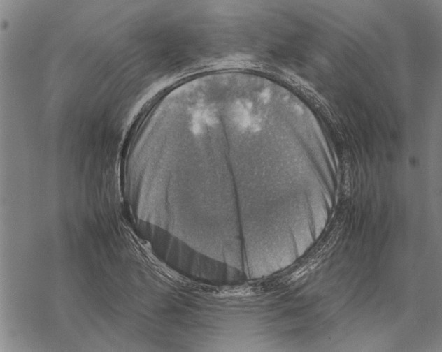 X0000067461174200605051614