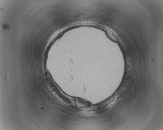 X0000067461176200605051614