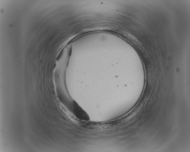 X0000067461177200605051614