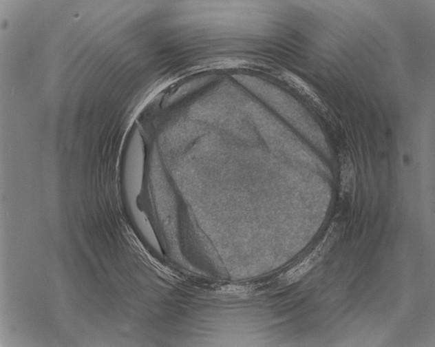 X0000067461178200605051614