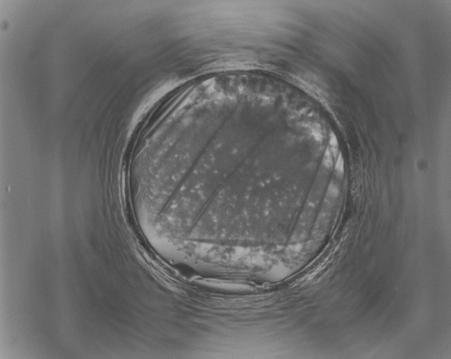 X0000067461179200605051614