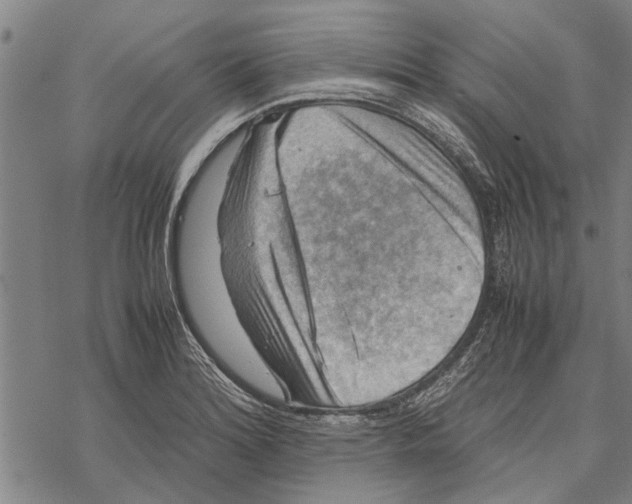 X0000067461180200605051614