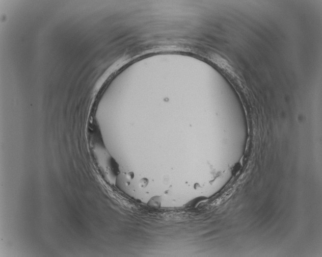 X0000067461181200605051614