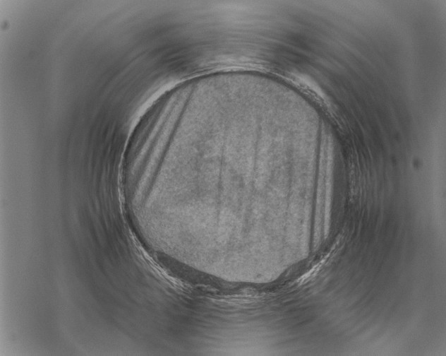 X0000067461182200605051614