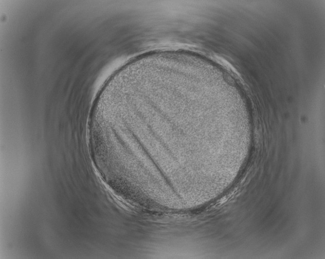 X0000067461183200605051614