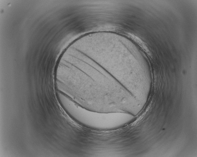 X0000067461184200605051614