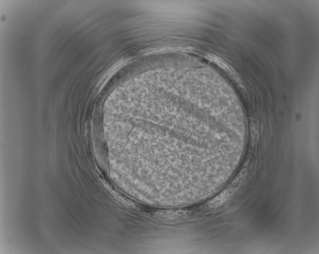 X0000067461185200605051614