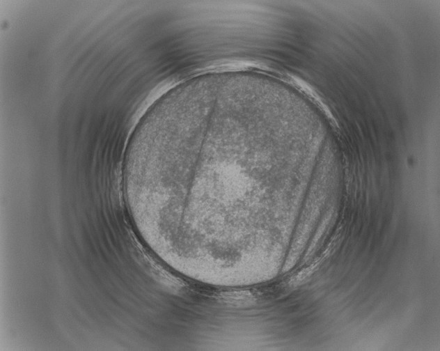 X0000067461186200605051614