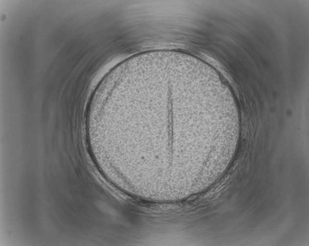 X0000067461187200605051614