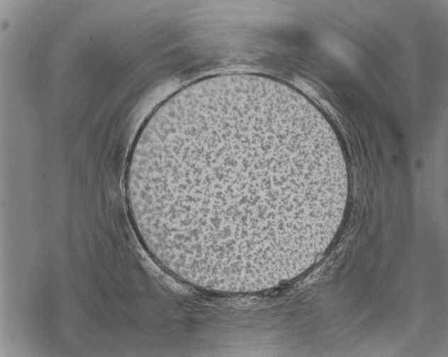 X0000067461189200605051614