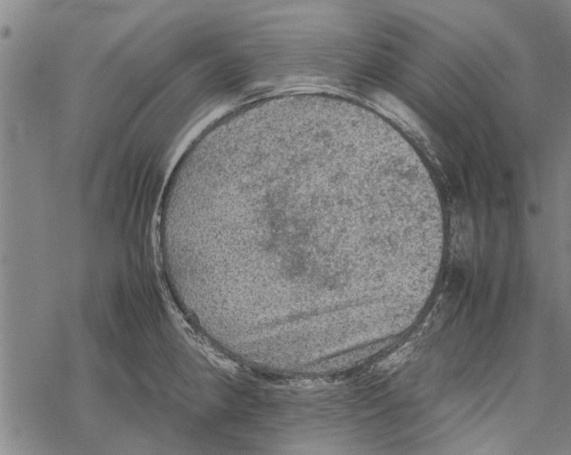 X0000067461190200605051614