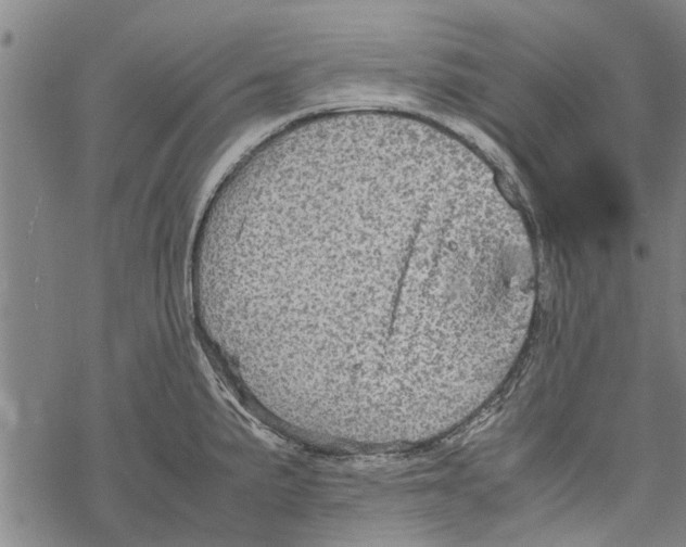 X0000067461191200605051614