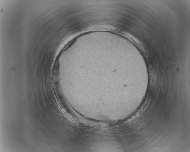 X0000067461192200605051614