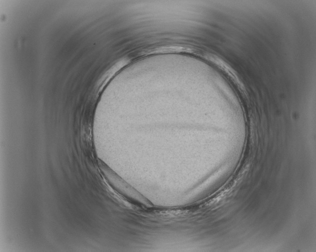 X0000067461193200605051614