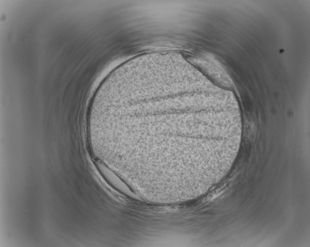 X0000067461195200605051614