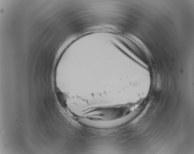 X0000067461196200605051614