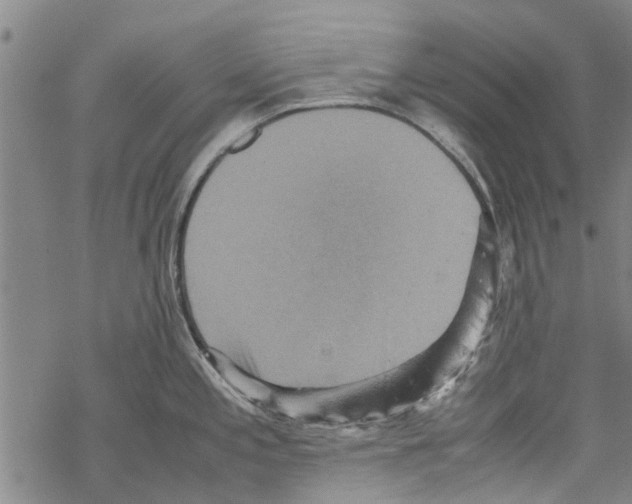 X0000067461197200605051614