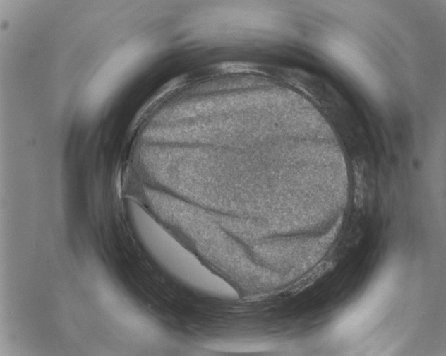 X0000067461198200605051614