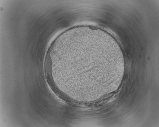 X0000067461199200605051614