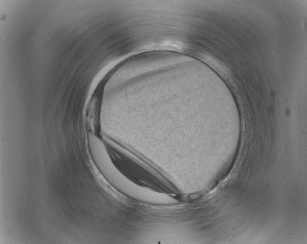 X0000067461200200605051614