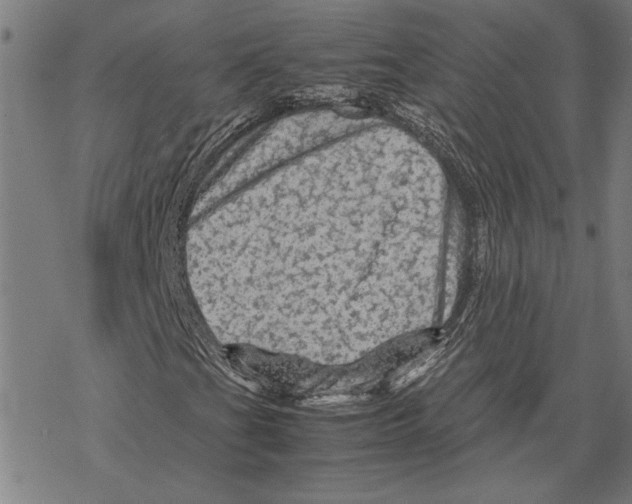 X0000067461201200605051613