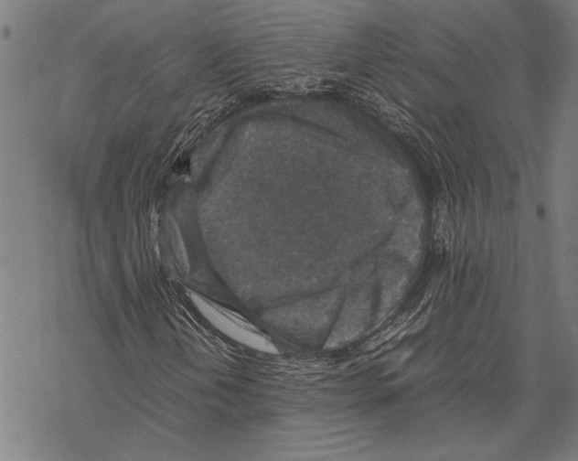 X0000067461202200605051613