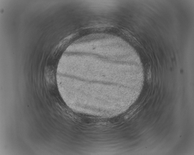 X0000067461204200605051613