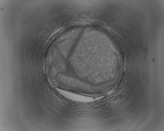 X0000067461206200605051613