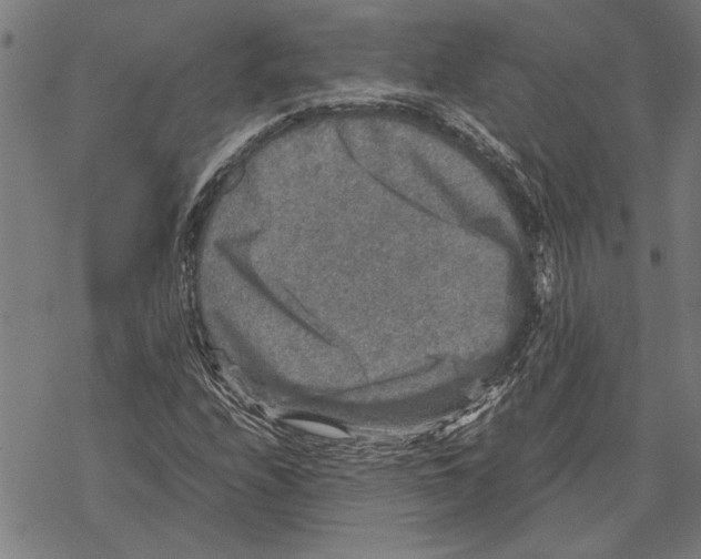 X0000067461208200605051613