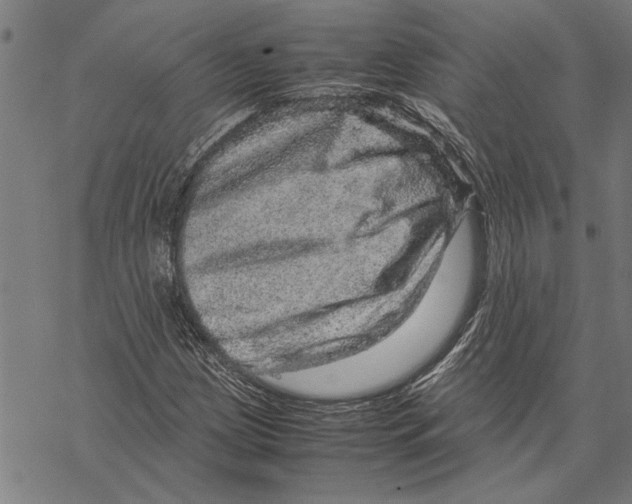 X0000067461209200605051613