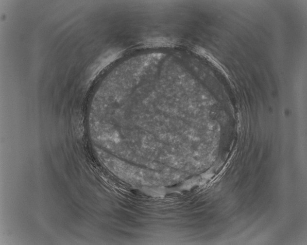 X0000067461213200605051613