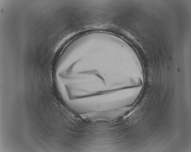 X0000067461214200605051613