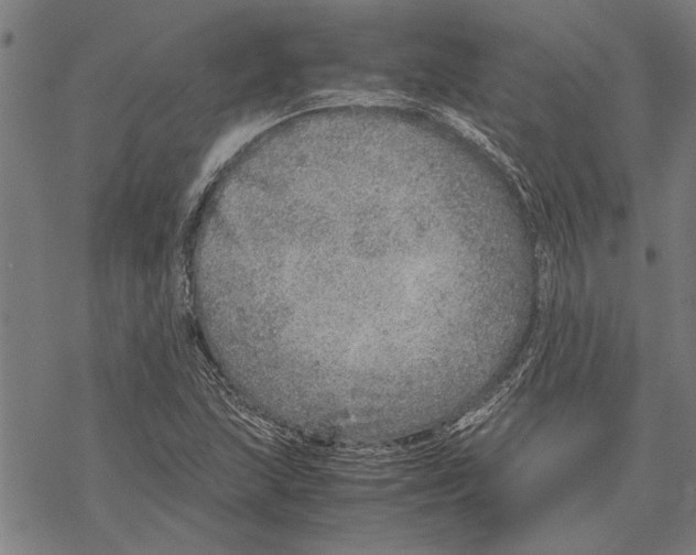 X0000067461215200605051613