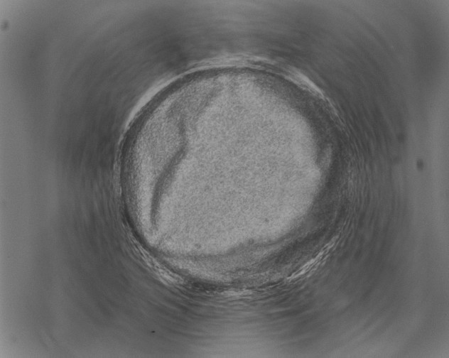 X0000067461216200605051613