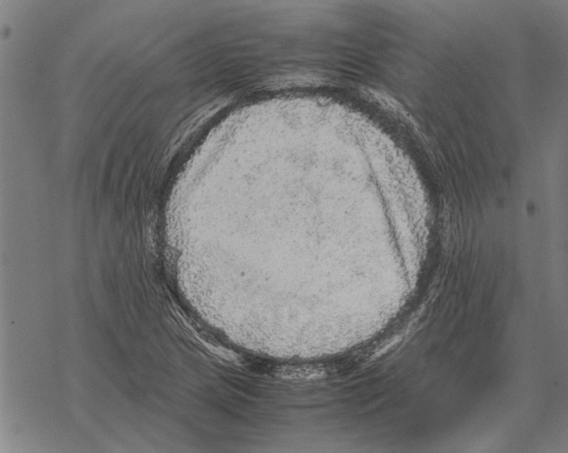 X0000067461217200605051613