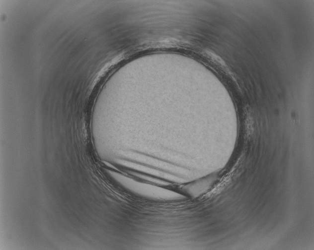 X0000067461218200605051613