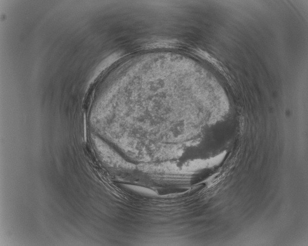 X0000067461219200605051613