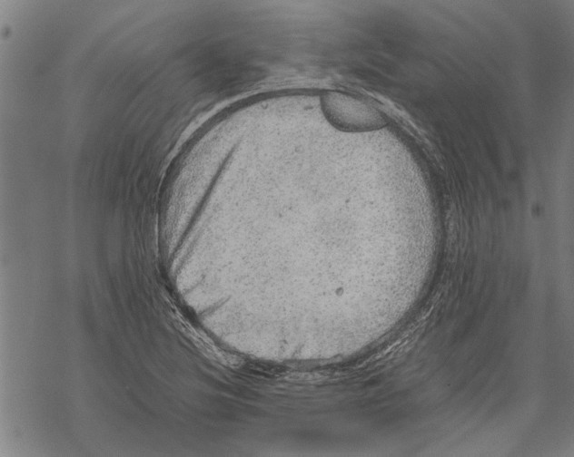 X0000067461220200605051613