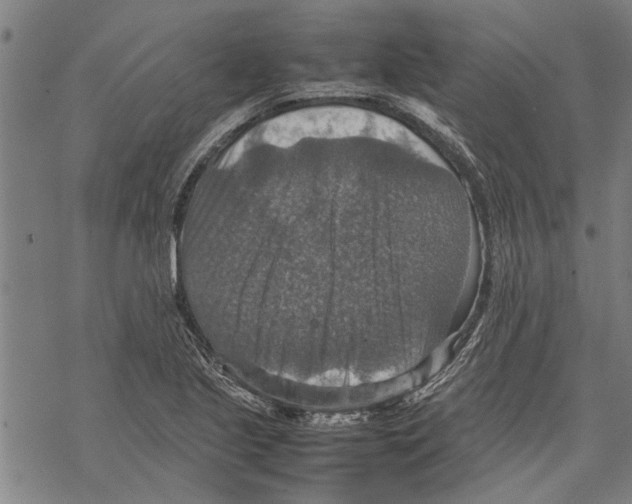 X0000067461221200605051613