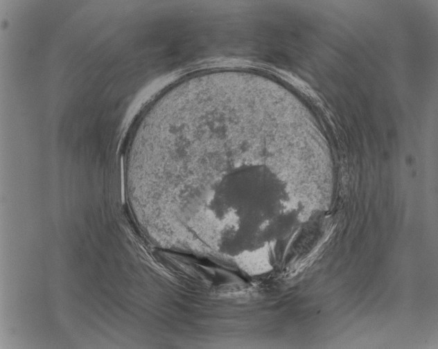 X0000067461223200605051613